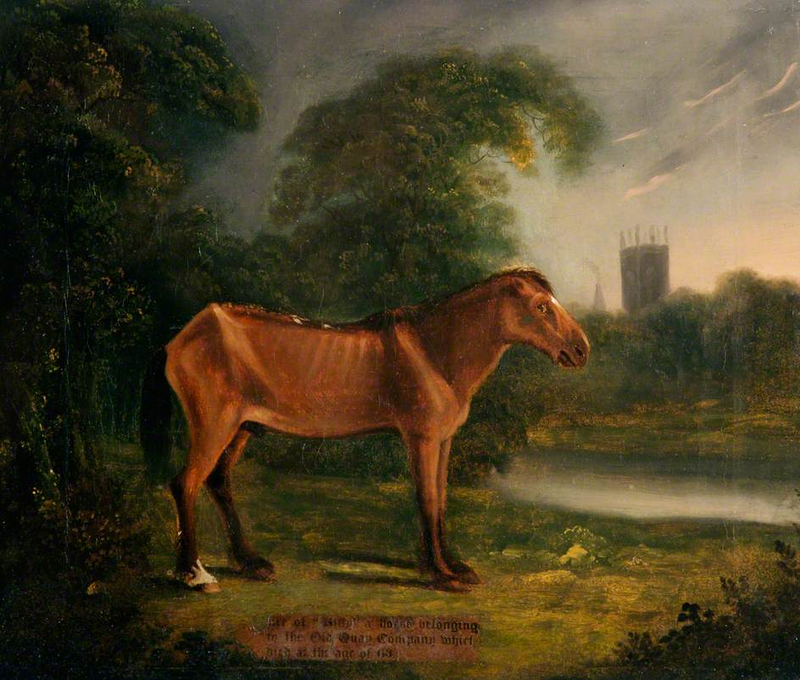 Illustration for article titled Animals That Doubled Their Expected Lifespan